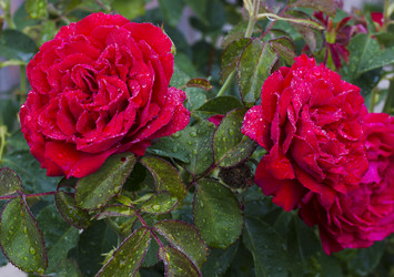 Similar image 6475493