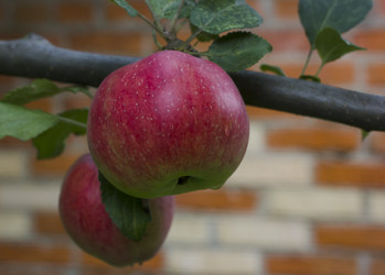 Similar image 6475495