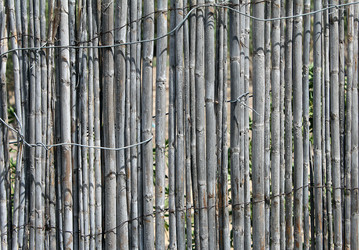 Similar image 6475621