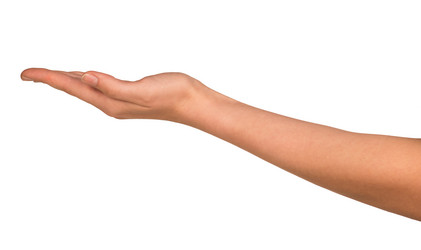 Similar image 6475627