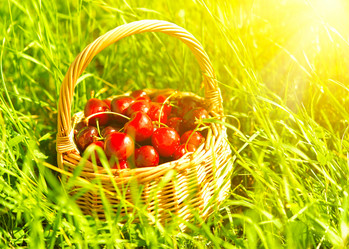 Similar image 6475813