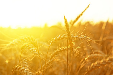 Similar image 6475814