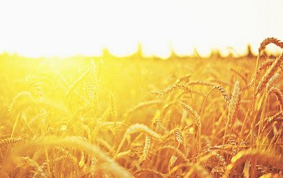 Similar image 6475816