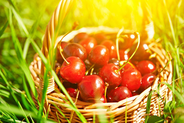 Similar image 6475819