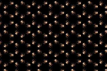 Similar image 6475849