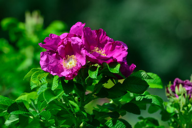 Similar image 6475854