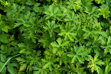 Similar image 6475871