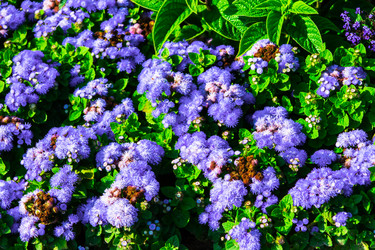 Similar image 6475875