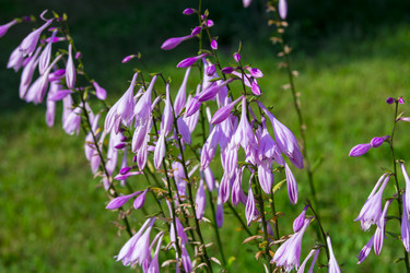 Similar image 6475877