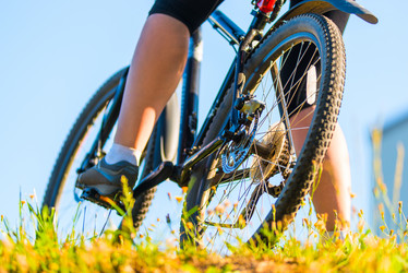 Similar image 6475912