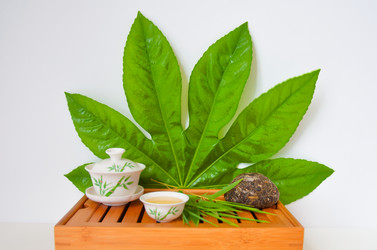 Similar image 6476022