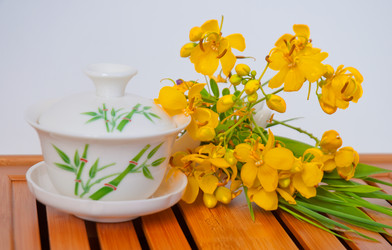 Similar image 6476034