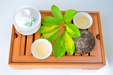 Similar image 6476040