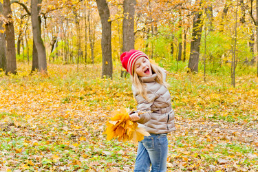 Similar image 6476135