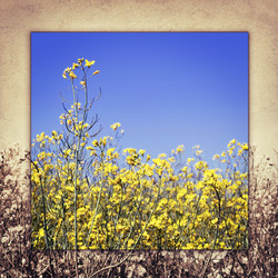 Similar image 6476255