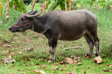 Similar image 6476291