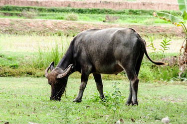 Similar image 6476295