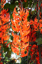 Similar image 6476302