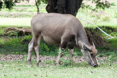 Similar image 6476304