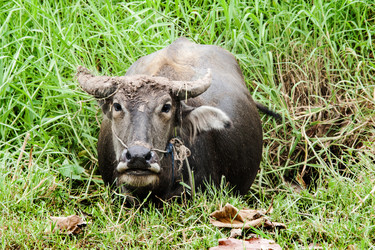 Similar image 6476306