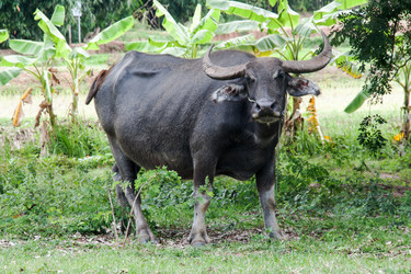 Similar image 6476307