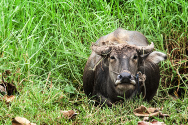 Similar image 6476309