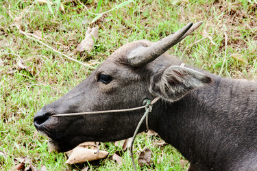 Similar image 6476310