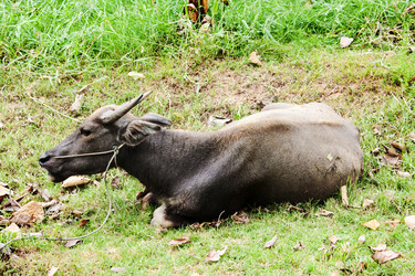 Similar image 6476311