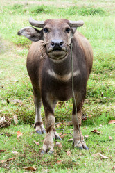 Similar image 6476312