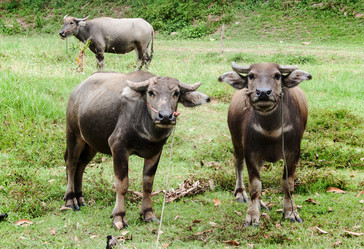 Similar image 6476314