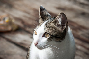 Similar image 6476318