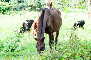 Similar image 6476328