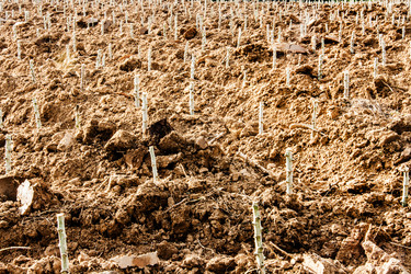 Similar image 6476330