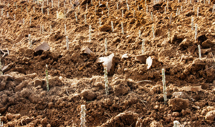 Similar image 6476331