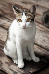 Similar image 6476333