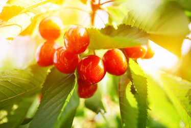 Similar image 6476369