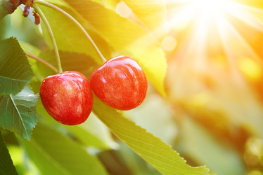 Similar image 6476370