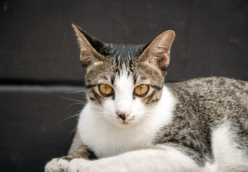 Similar image 6476376