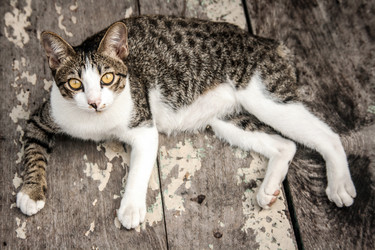 Similar image 6476377