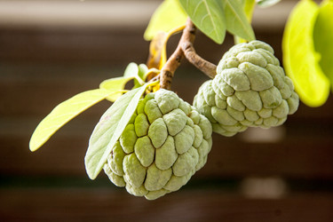 Similar image 6476381