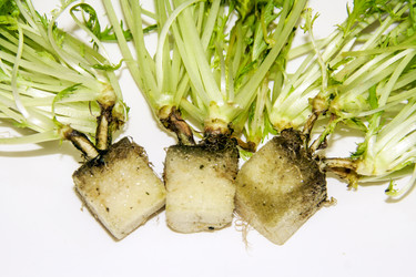 Similar image 6476382