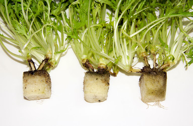 Similar image 6476383