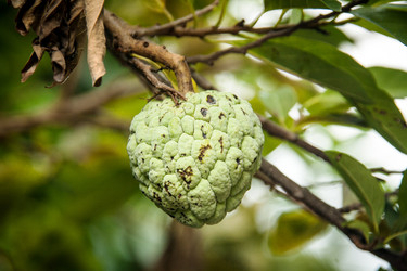 Similar image 6476388