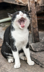 Similar image 6476390