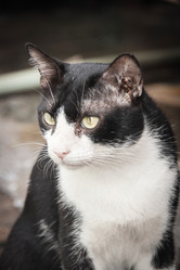 Similar image 6476391