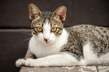 Similar image 6476393