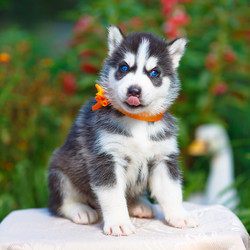 Similar image 6476415