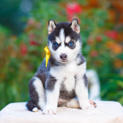 Similar image 6476424