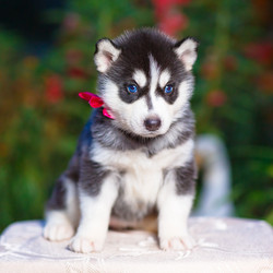 Similar image 6476429