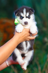 Similar image 6476430